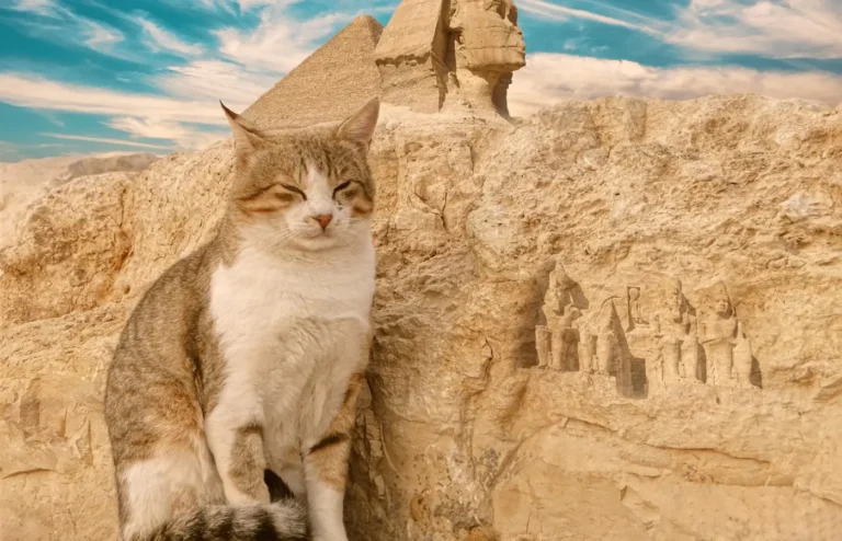 Gato sentado frente a la Gran Esfinge de Guiza
